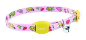 Safe Cat® Adjustable Breakaway Cat Collar with Magnetic Buckle, Fruit Salad Cat 1pc 3/8" x 8"-12"