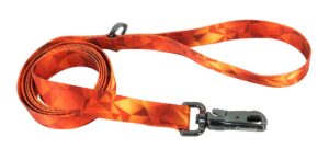 Inspire Fashion Dog Leash, Blazing Shards, Small/Medium - 5/8" x 6'