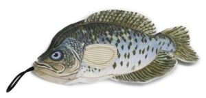 Denim Fish - Crappie