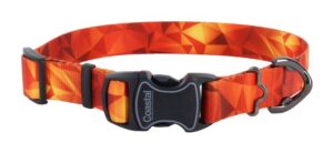 Inspire Adjustable Fashion Dog Collar, Blazing Shards, Small - 5/8" x 10-14"