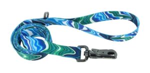 Inspire Fashion Dog Leash, Malachite Magic, Small/Medium - 5/8" x 6'