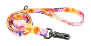 Inspire Fashion Dog Leash, Sherbet Blooms, Small/Medium - 5/8" x 6'