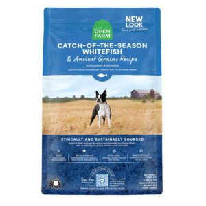 OPEN FARM ANCIENT GRAIN DOG KIBBLE | PUPPY CHICKEN & SALMON 4 LB