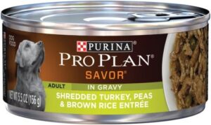 Pro Plan Complete Essentials Shredded Turkey Peas & Brown Rice Dog 5.5 oz