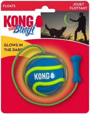 Kong Bunji High-Viz Ball Assorted Dog Toy Medium