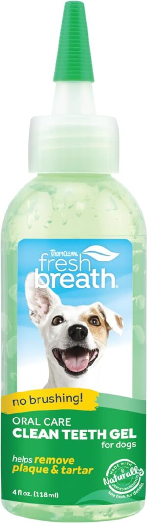 FRESH BREATH CLEAN TEETH ORAL CARE GEL 4 OZ