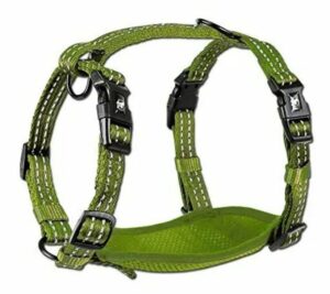 ALCOTT NYLON HARNESS SM GRN ADVENTURE 5.75IN LENGTH