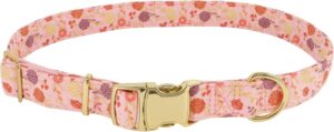 Delicate Pink Flowers Leash Delicate Pink Flowers, 5/8" x 12"-18" SM