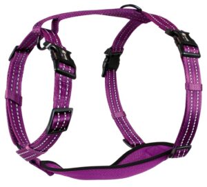 ALCOTT NYLON HARNESS SMALL PURPLE ADVENTURE 5.75IN LENGTH