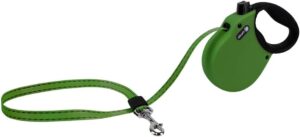 Alcott Adventure Retractable Leash, Extra Small, Green