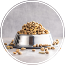 Dry Dog Food