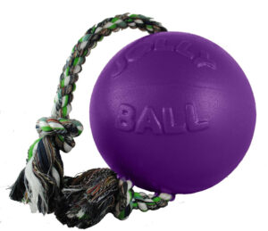 Jolly Pets Purple Romp-n-roll Ball Dog Toy 4.5 in